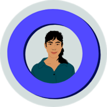 Provider Portal login